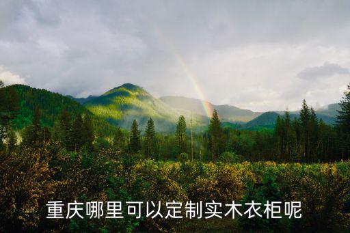 重慶市永創(chuàng)定制衣柜，重慶定制衣柜有哪些