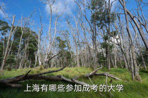 上海成人大學有哪些學校，上海有哪些參加成考的大學