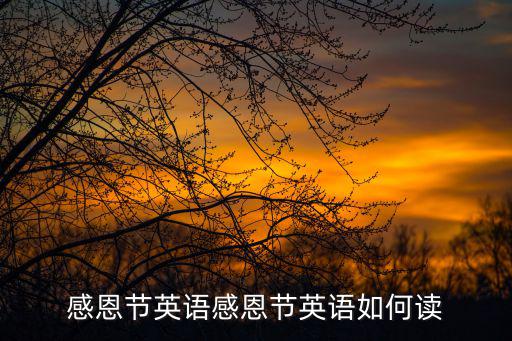 感恩節英語感恩節英語如何讀
