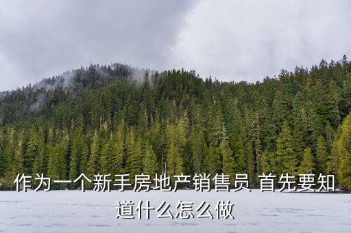 作為一個(gè)新手房地產(chǎn)銷售員 首先要知道什么怎么做