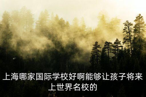上海哪家國(guó)際學(xué)校好啊能夠讓孩子將來(lái)上世界名校的