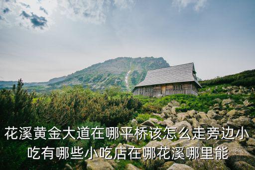 花溪黃金大道在哪平橋該怎么走旁邊小吃有哪些小吃店在哪花溪哪里能
