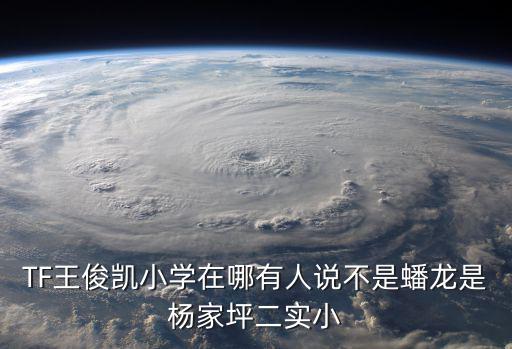 TF王俊凱小學在哪有人說不是蟠龍是楊家坪二實小