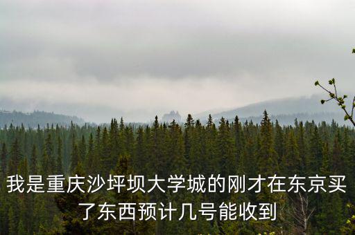 我是重慶沙坪壩大學(xué)城的剛才在東京買(mǎi)了東西預(yù)計(jì)幾號(hào)能收到