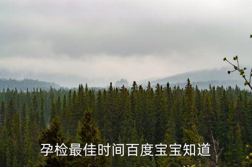 孕檢時間,孕婦12月時可領取孕婦健康手冊