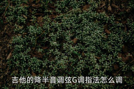 吉他的降半音調(diào)弦G調(diào)指法怎么調(diào)