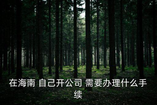 在海南 自己開公司 需要辦理什么手續(xù)