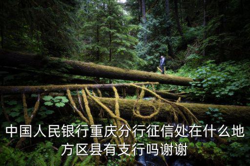 中國人民銀行重慶分行征信處在什么地方區縣有支行嗎謝謝