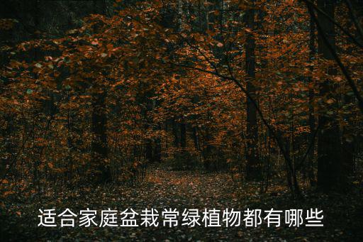 家庭盆栽,陽臺盆栽植物怎么養?注意事項有哪些?