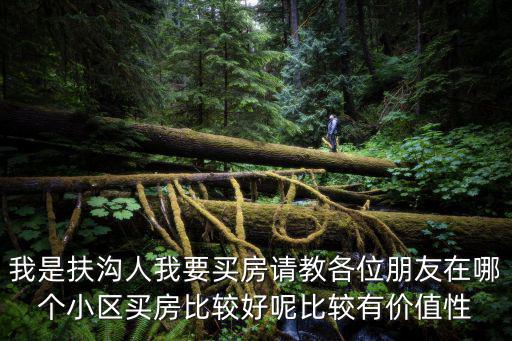 我是扶溝人我要買房請教各位朋友在哪個小區買房比較好呢比較有價值性