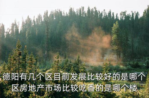 德陽有幾個區目前發展比較好的是哪個區房地產市場比較吃香的是哪個樓