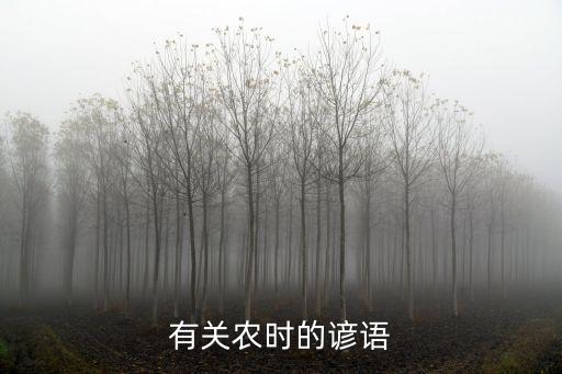 有關(guān)農(nóng)時的諺語