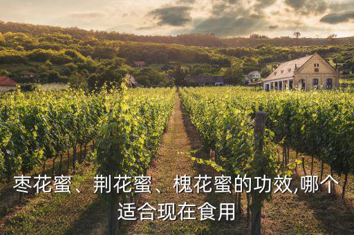 棗花蜜、荊花蜜、槐花蜜的功效,哪個(gè)適合現(xiàn)在食用