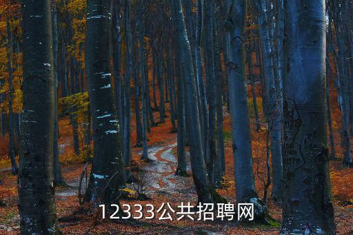 12333公共招聘網