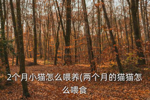 兩個月的貓咪怎么喂養,兩個月大貓咪怎么喂養?別喂食水果了