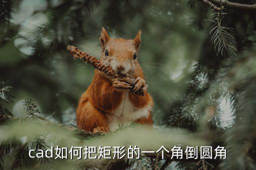 cad如何把矩形的一個角倒圓角