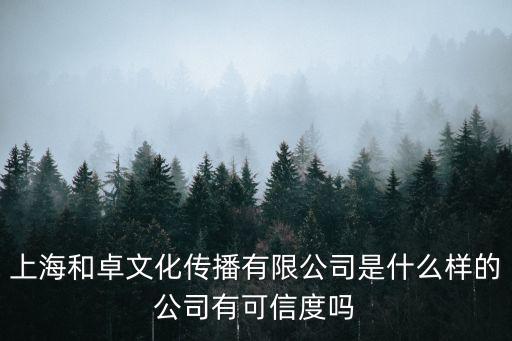 上海市和文化傳播有限公司是真的嗎，上海和卓文化傳播有限公司是什么樣的公司有可信度嗎