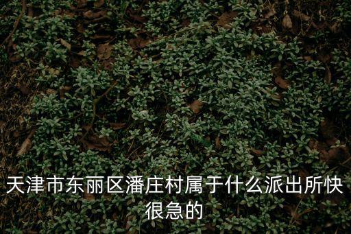 天津市東麗區潘莊村屬于什么派出所快很急的
