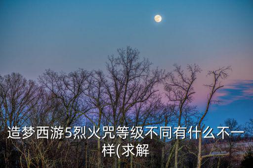 造夢西游5烈火咒等級不同有什么不一樣(求解