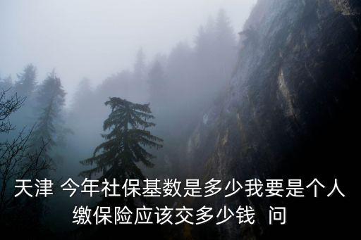 天津 今年社保基數是多少我要是個人繳保險應該交多少錢  問