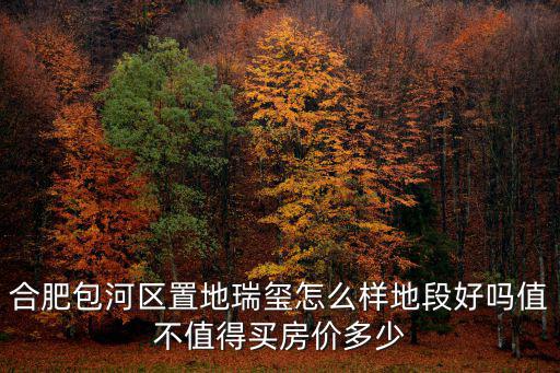 合肥包河區置地瑞璽怎么樣地段好嗎值不值得買房價多少