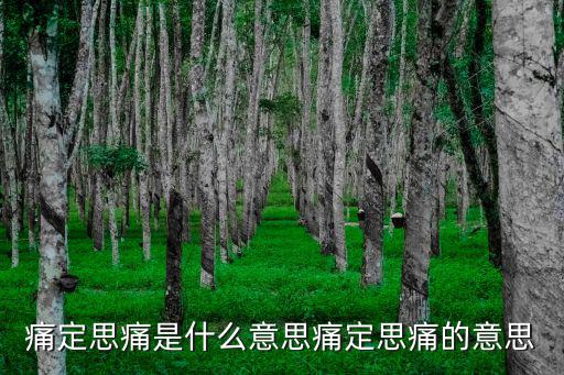 痛定思痛是什么意思痛定思痛的意思