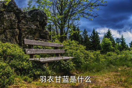 羽衣甘藍是什么