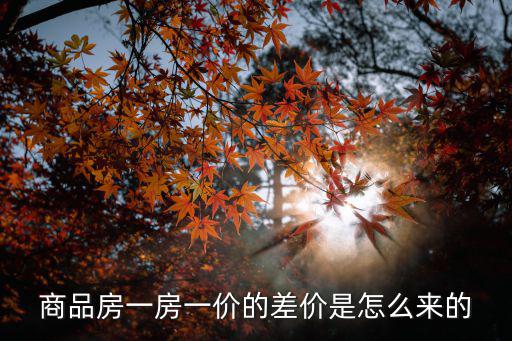 商品房一房一價(jià)的差價(jià)是怎么來的