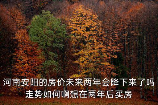 河南安陽的房價未來兩年會降下來了嗎走勢如何啊想在兩年后買房
