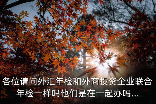 各位請問外匯年檢和外商投資企業聯合年檢一樣嗎他們是在一起辦嗎...