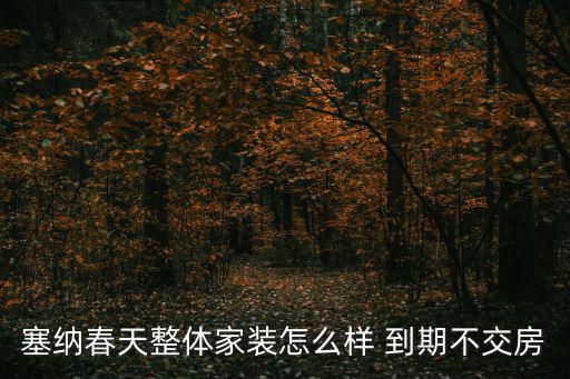 塞納春天整體家裝怎么樣 到期不交房