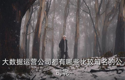 大數據運營公司都有哪些比較知名的公司呢