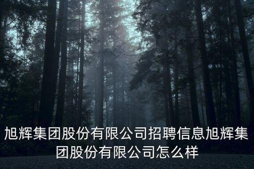 旭輝集團股份有限公司招聘信息旭輝集團股份有限公司怎么樣