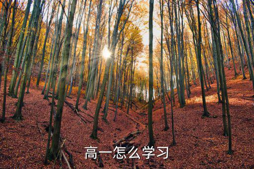 高一學習方法,高一新生要適應新環境學習方法要變