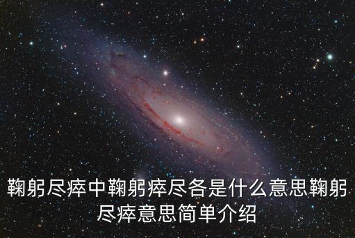鞠躬盡瘁什么意思,鞠躬盡瘁，死而后已的意思