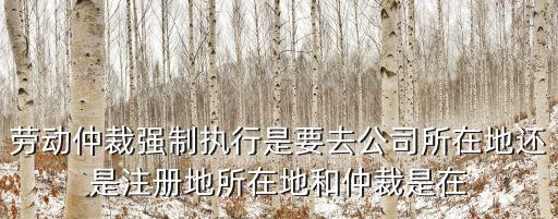 勞動(dòng)仲裁強(qiáng)制執(zhí)行是要去公司所在地還是注冊地所在地和仲裁是在
