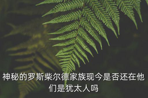 德系猶太人,納粹對有用的猶太人也是相當慷慨