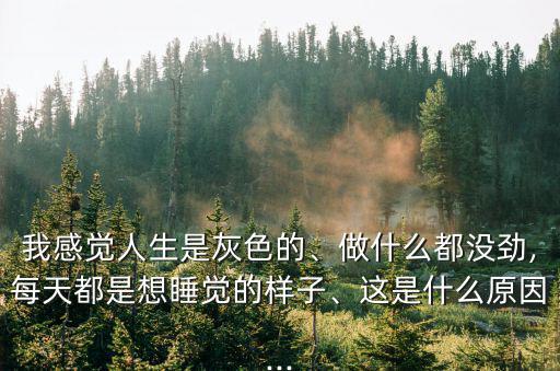 灰色的人生,灰色象征什么?