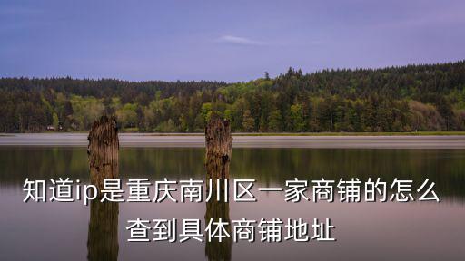 知道ip是重慶南川區(qū)一家商鋪的怎么查到具體商鋪地址
