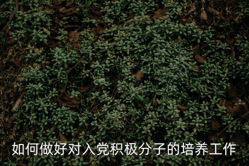 如何做好對入黨積極分子的培養(yǎng)工作