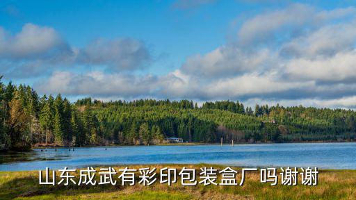 山東成武有彩印包裝盒廠嗎謝謝