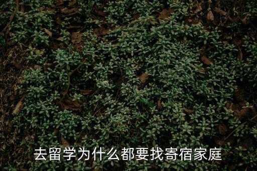 寄宿家庭,留學生怎么找寄宿家庭?一般情況下這樣做