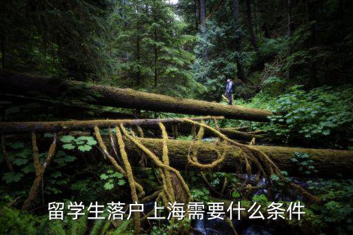 留學生落戶上海需要什么條件