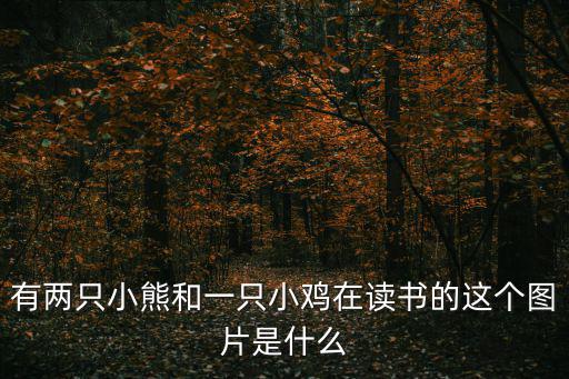 小雞圖片,如何養好一只小雞?