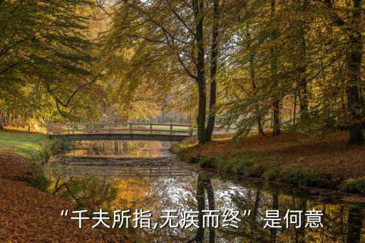 千人所指,千人所指，無(wú)病而死出自漢書(shū)·王嘉傳