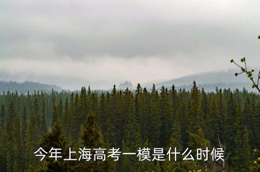 2019年上海市松江高三數學一模，今年上海高考一模是什么時候
