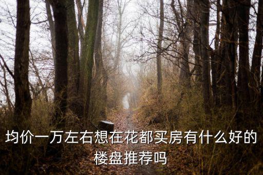 均價一萬左右想在花都買房有什么好的樓盤推薦嗎