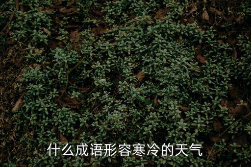什么成語形容寒冷的天氣