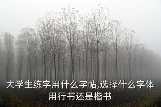 大學生練字用什么字帖,選擇什么字體用行書還是楷書