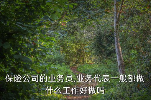 保險公司的業務員,業務代表一般都做什么工作好做嗎